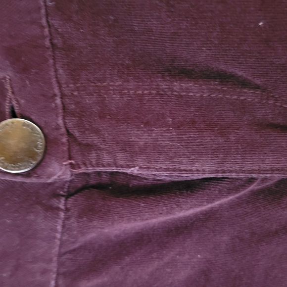 Democracy Purple Skinny Jeans - Picture 6 of 11